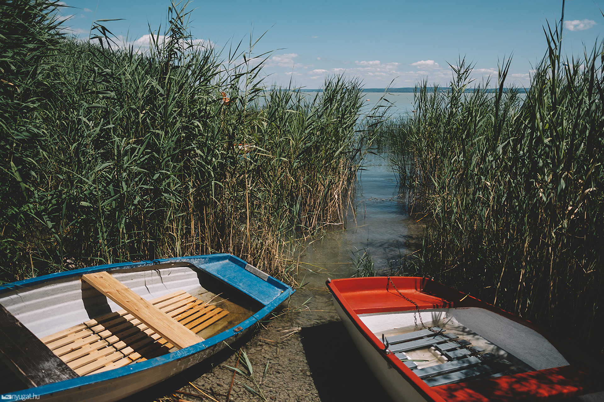 Balaton