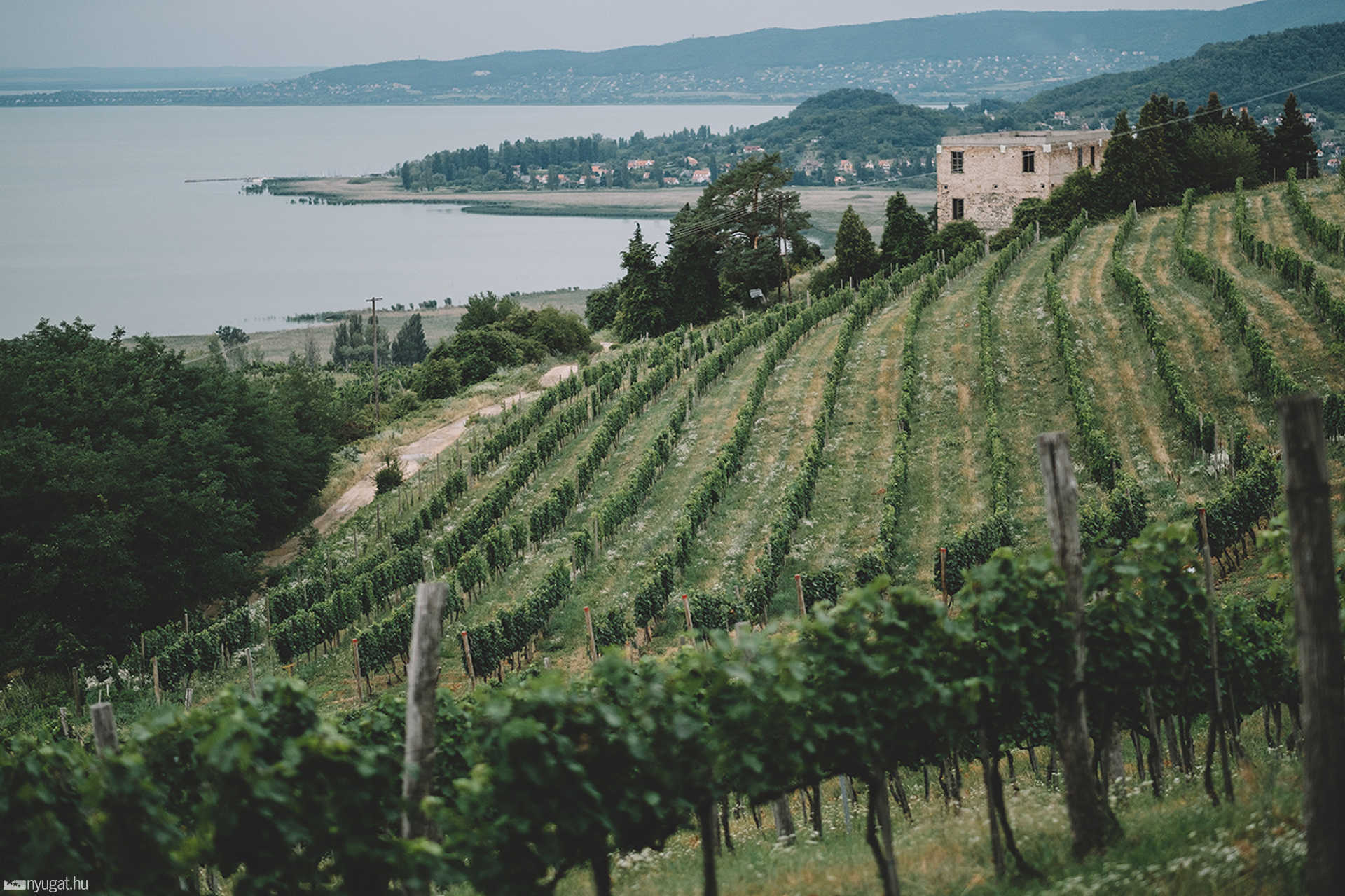 Balaton