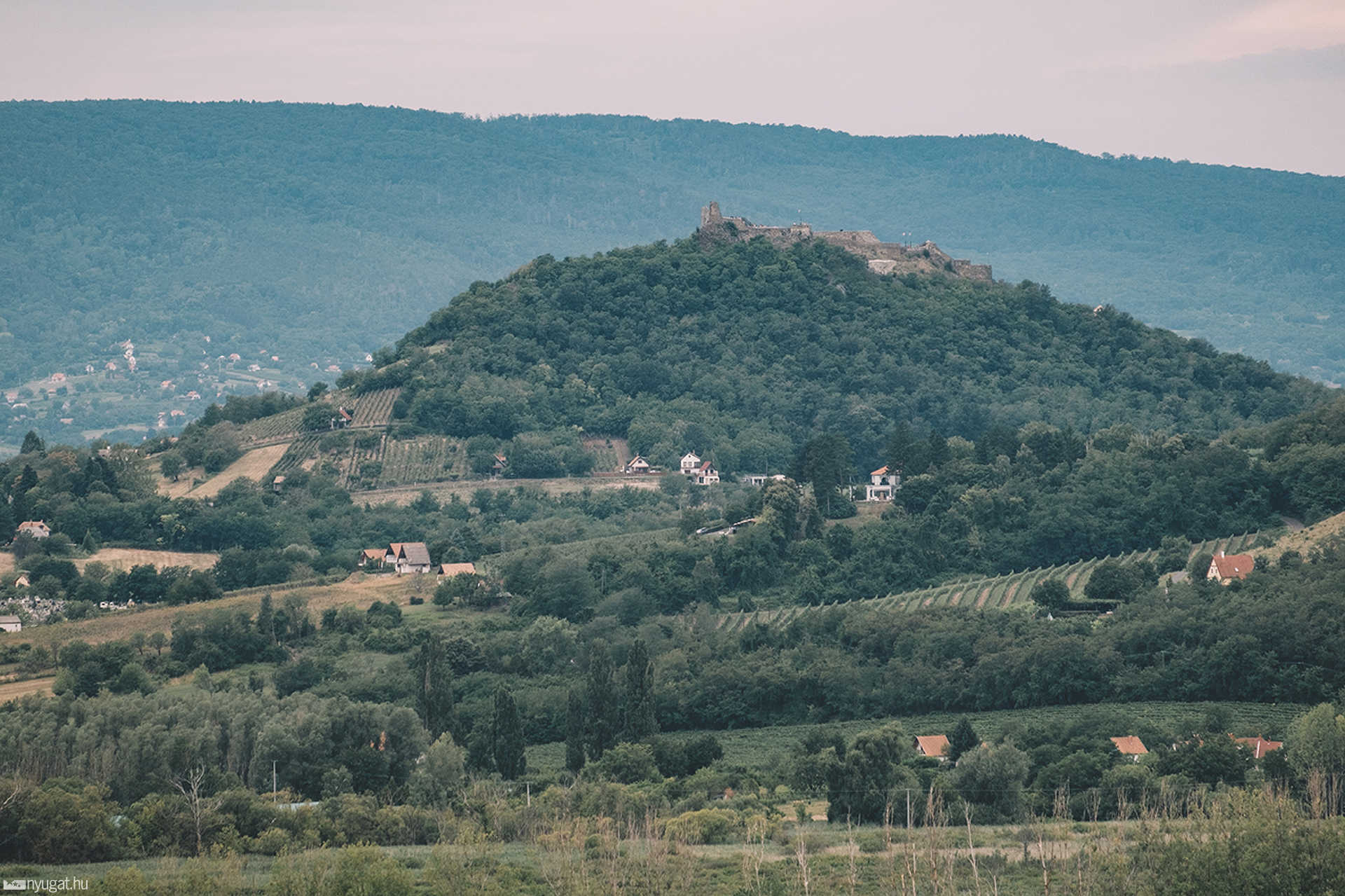 Balaton
