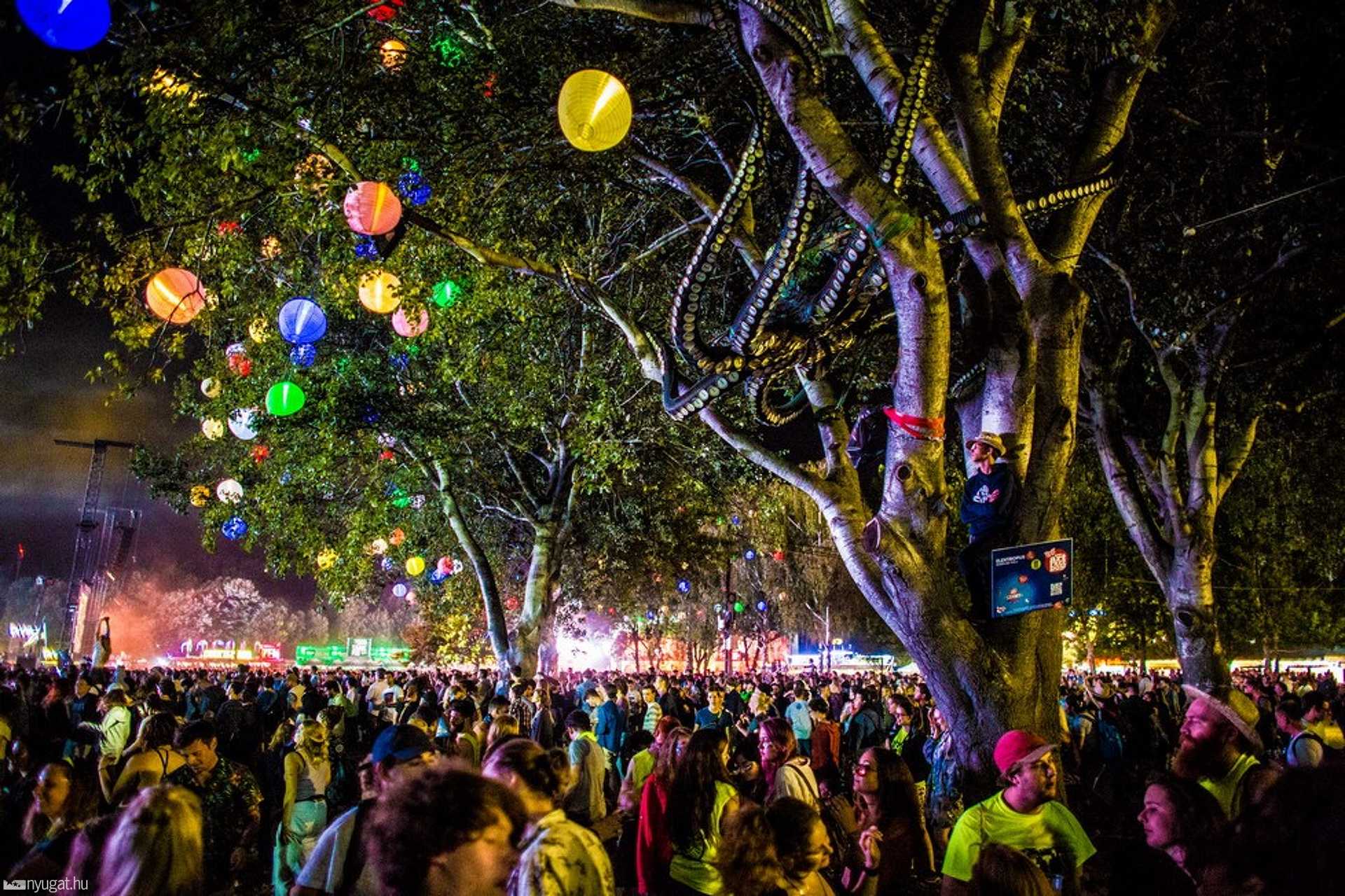 Sziget