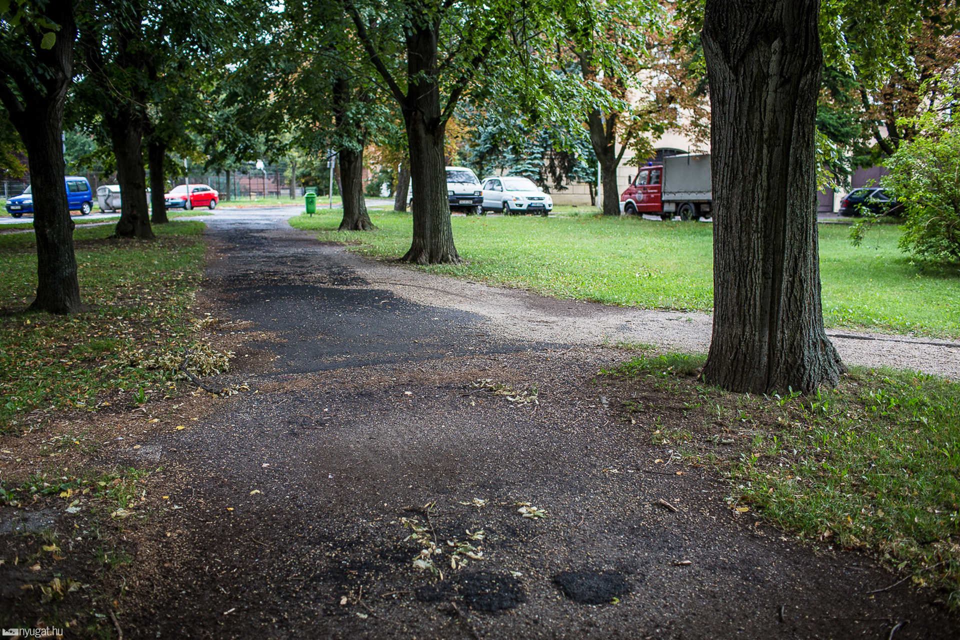 Az Ady téri park sétánya