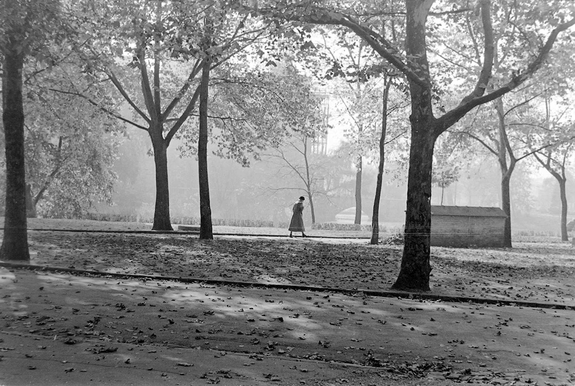 Vajdahunyad vára - Városliget (1957)