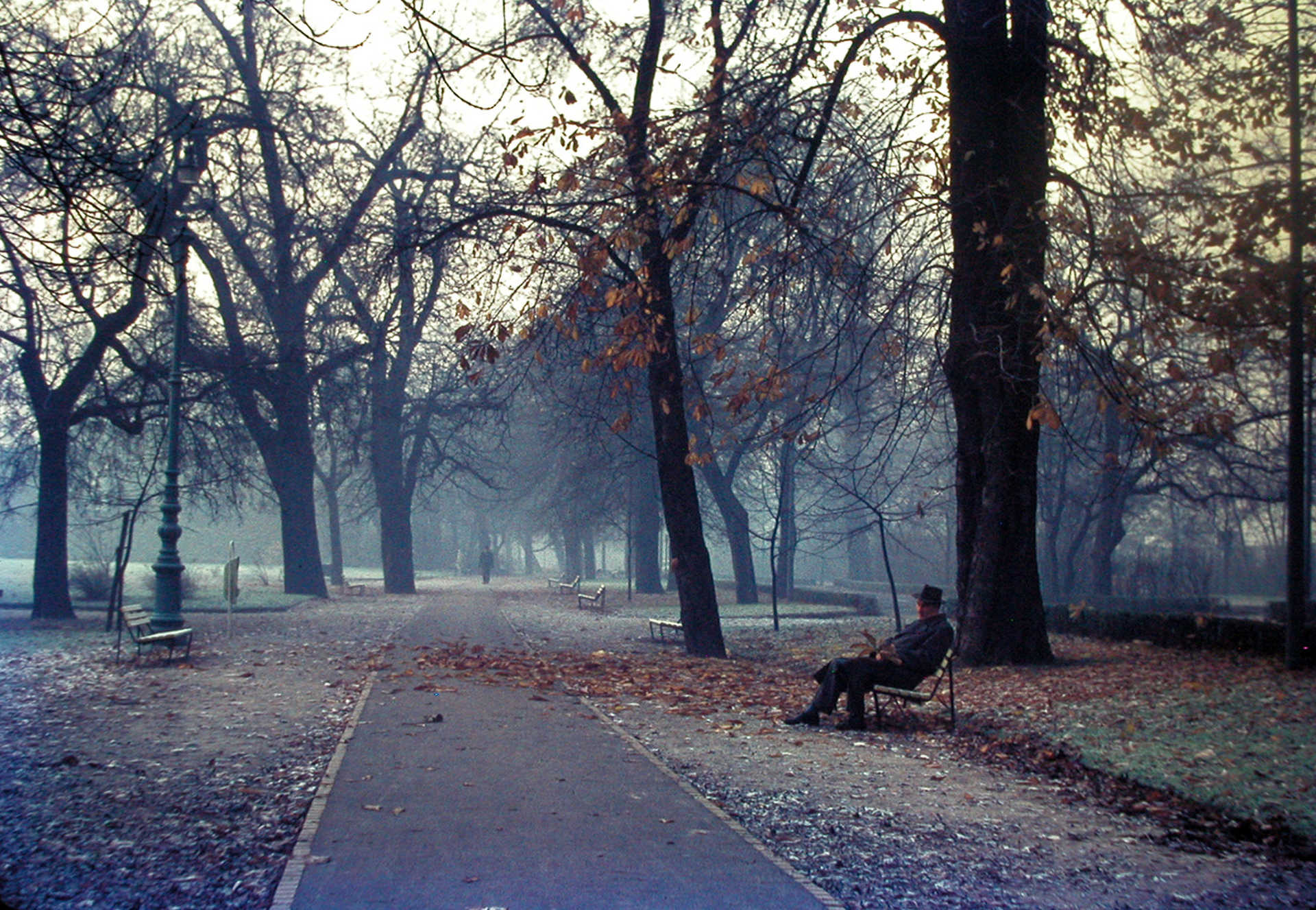 Margitsziget (1977)