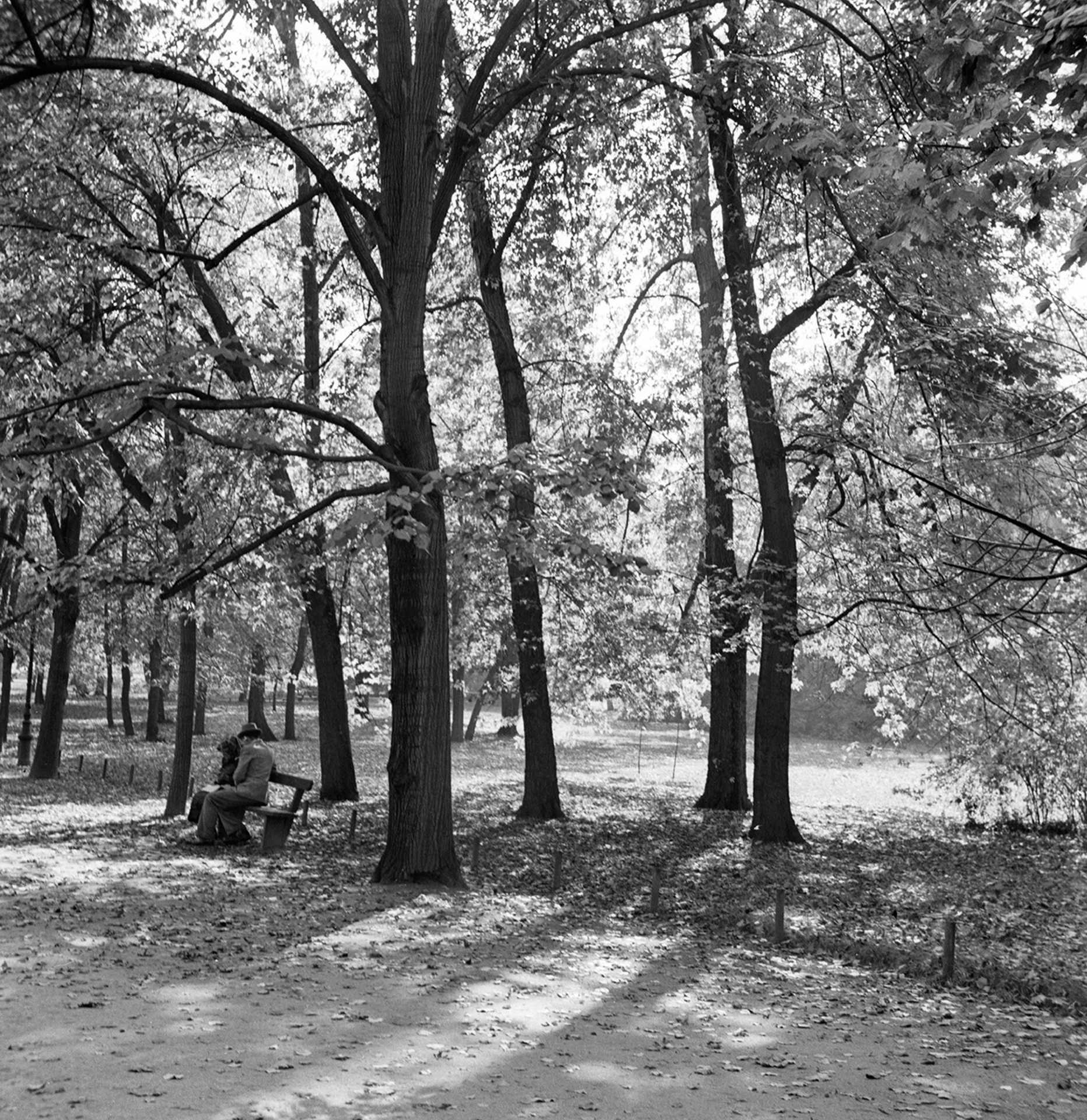 Ősz (1940)