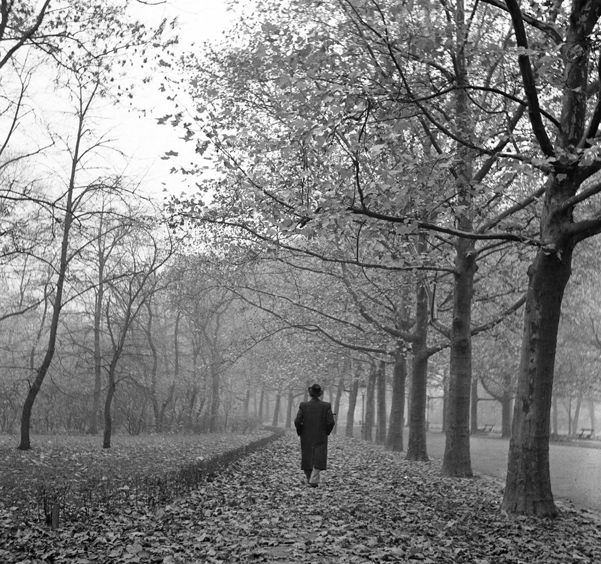 Városliget (1940)