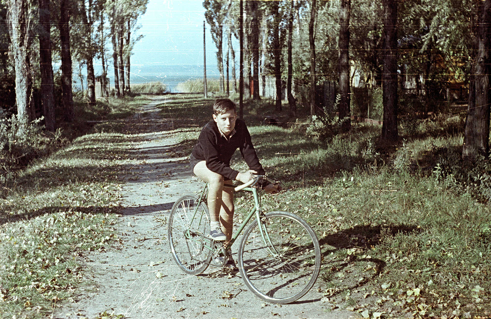 Ősz (1960)