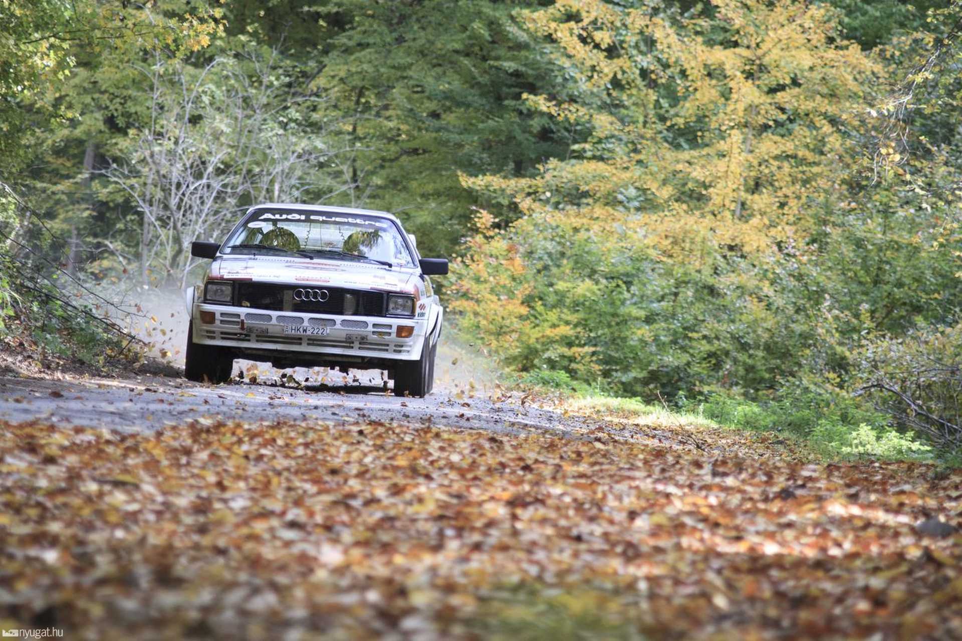 Mecsek Rallye 2017