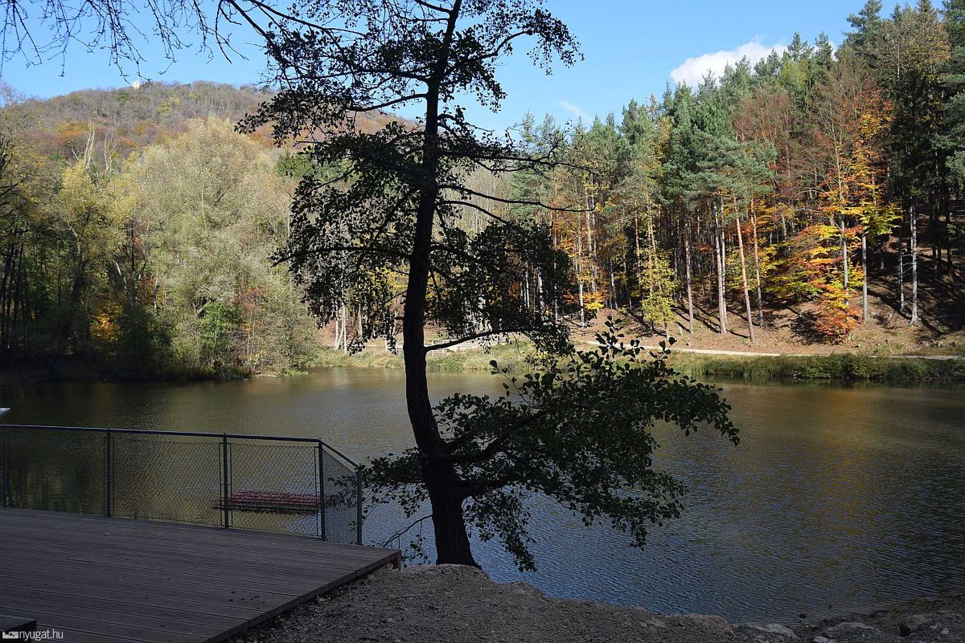 Bécsi erdő
