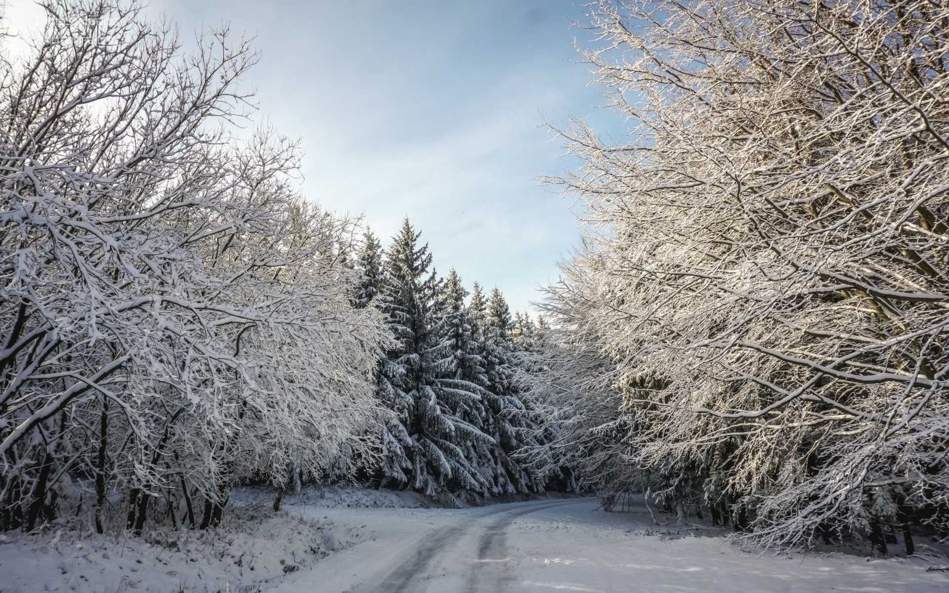 Korai tél a Kőszegi-hegységben 