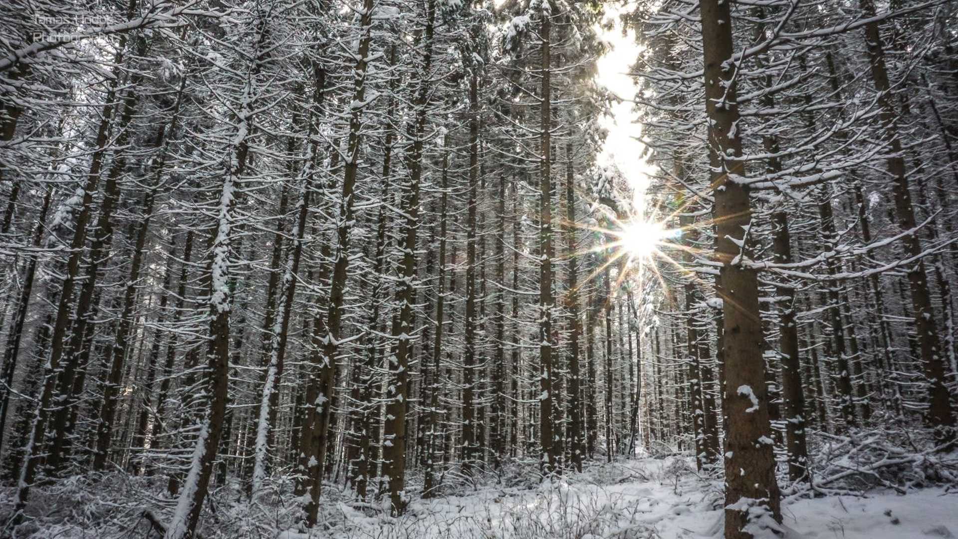 Korai tél a Kőszegi-hegységben 