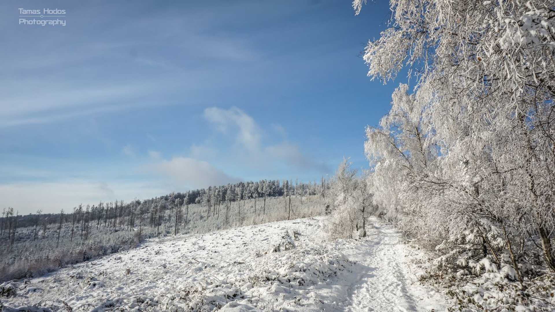 Korai tél a Kőszegi-hegységben 