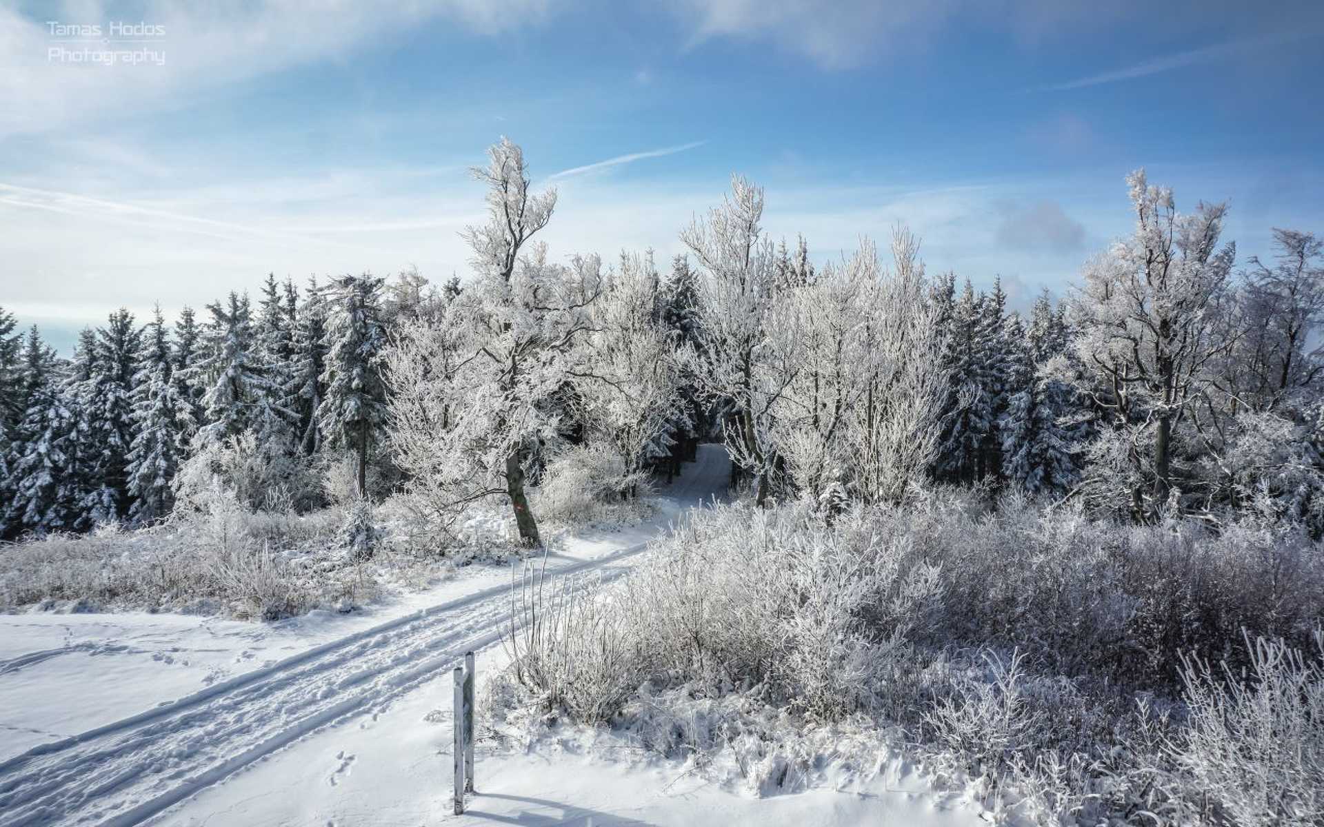Korai tél a Kőszegi-hegységben 