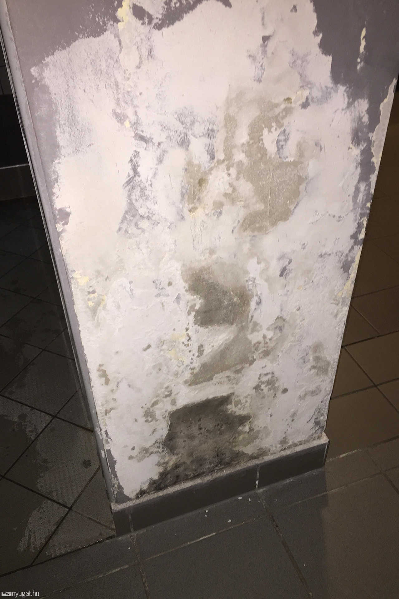 Horrorzuhanyzó az egyik szombathelyi konditeremben 