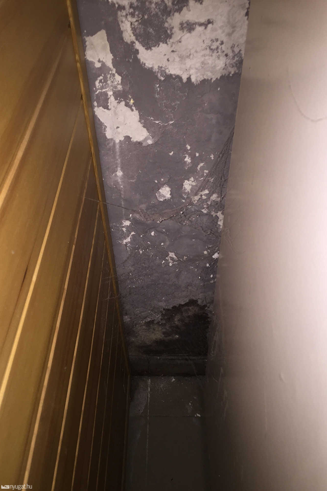 Horrorzuhanyzó az egyik szombathelyi konditeremben 