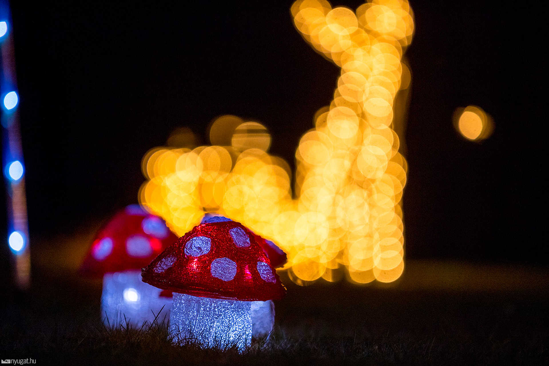 Spitzzicken karácsonyi fényei
