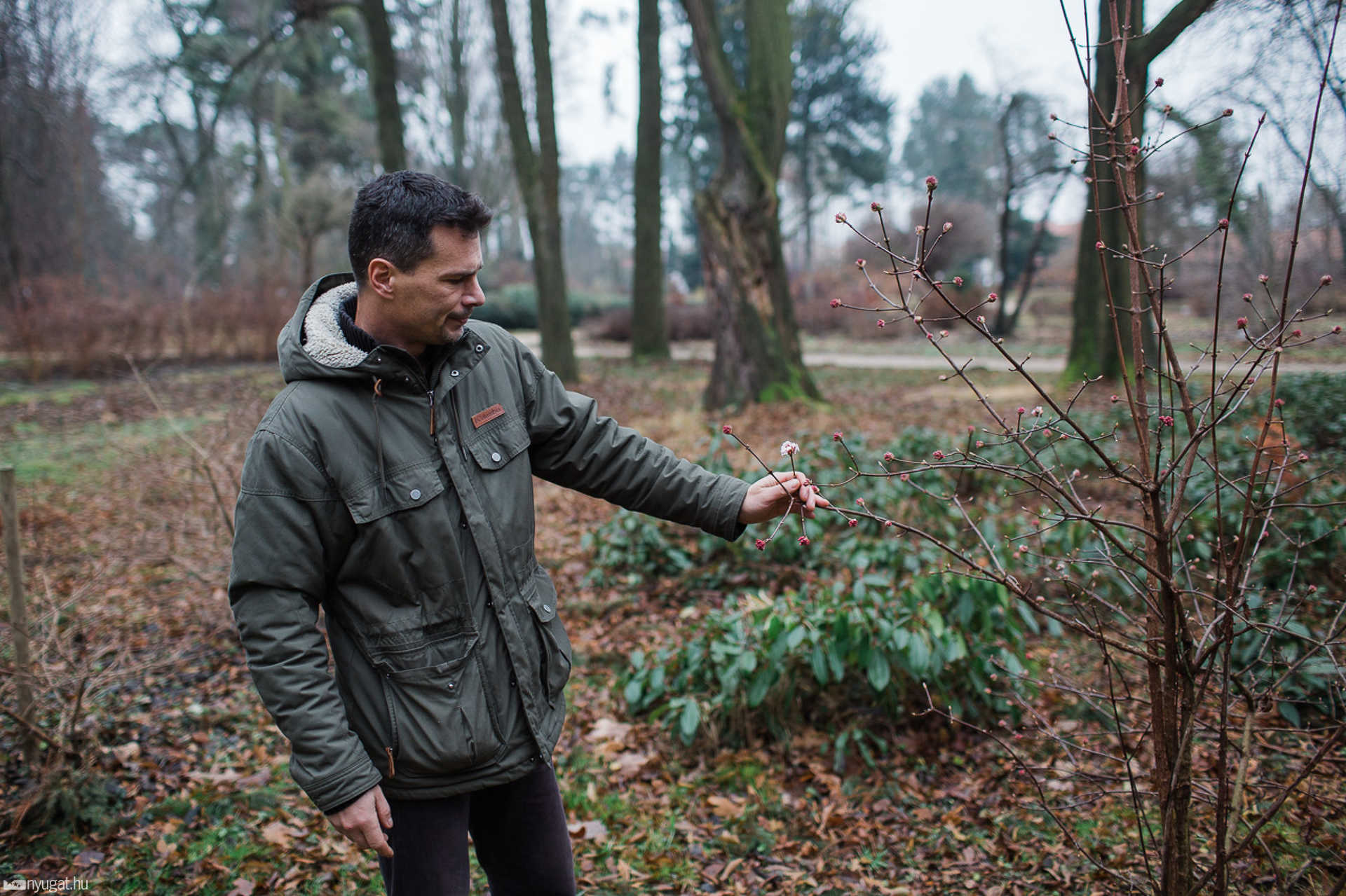 Télen ébredező természet a Kámoni Arborétumban