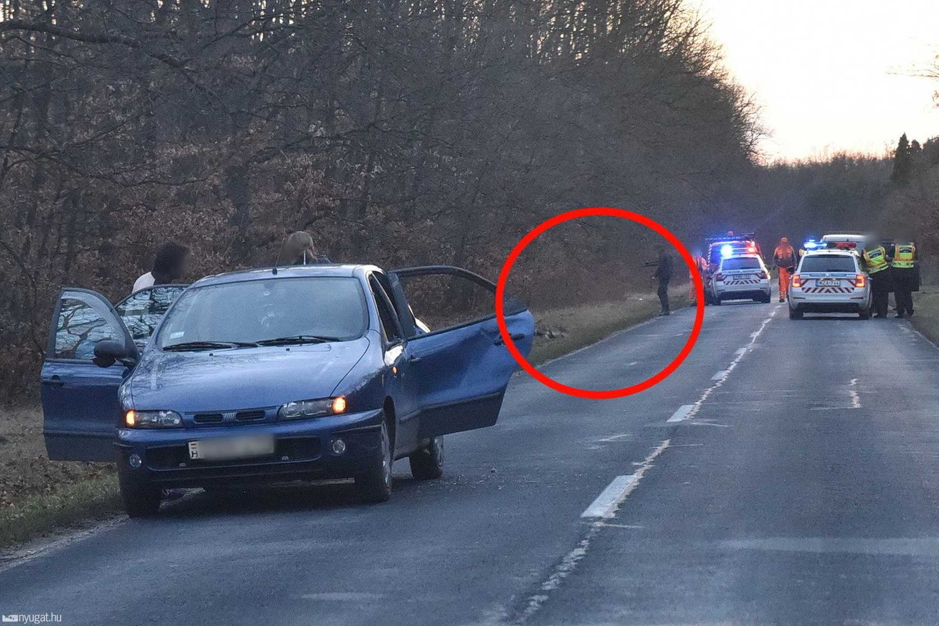 Szarvas futott a Fiat oldalának, ketten megsérültek Gersekarát közelében