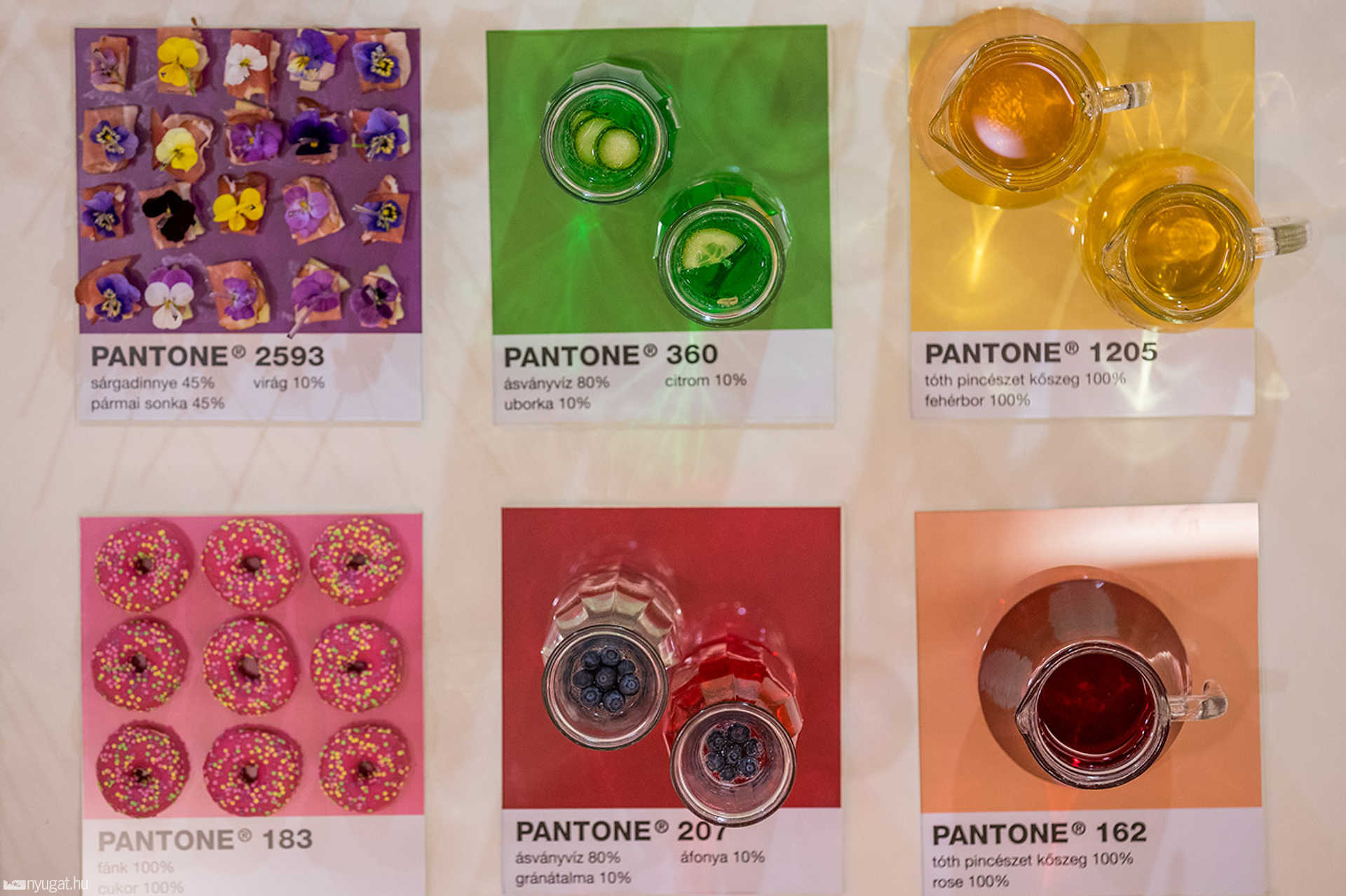 Nem, ez nem dívatfotó, henem a Pantone színeiben megkomponált büféasztal. 