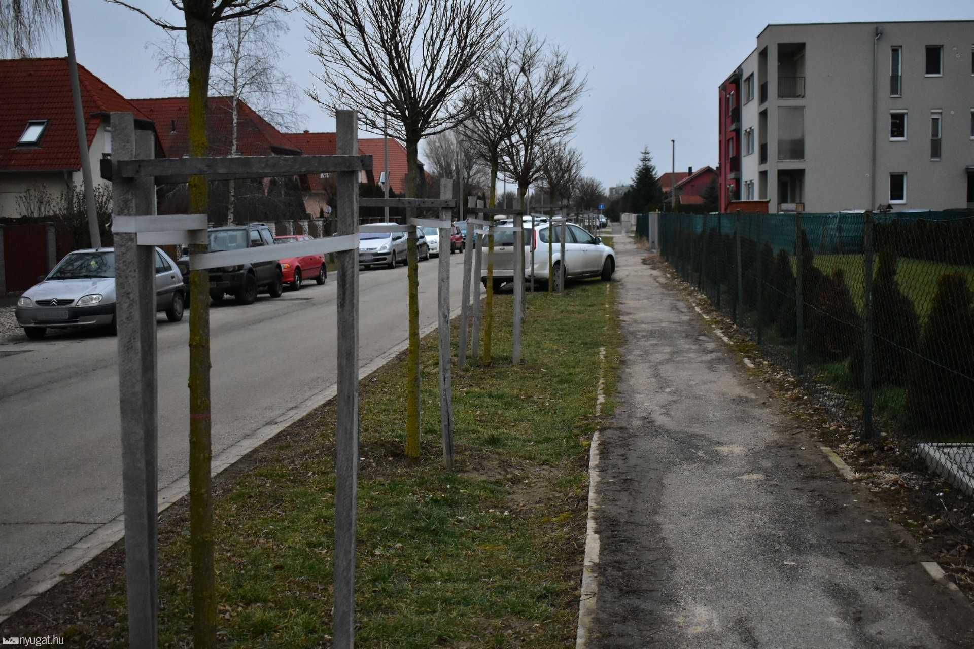 Parkolás a Minerva lakótelepen