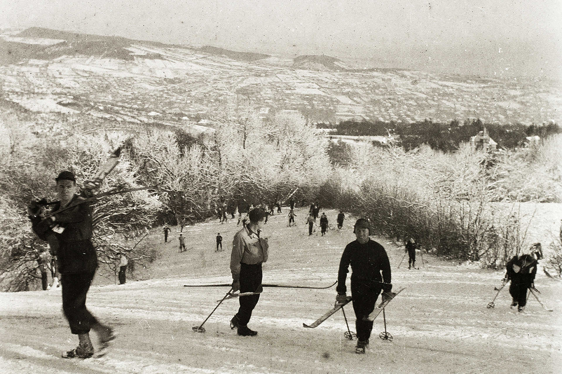 Normafa-lejtő