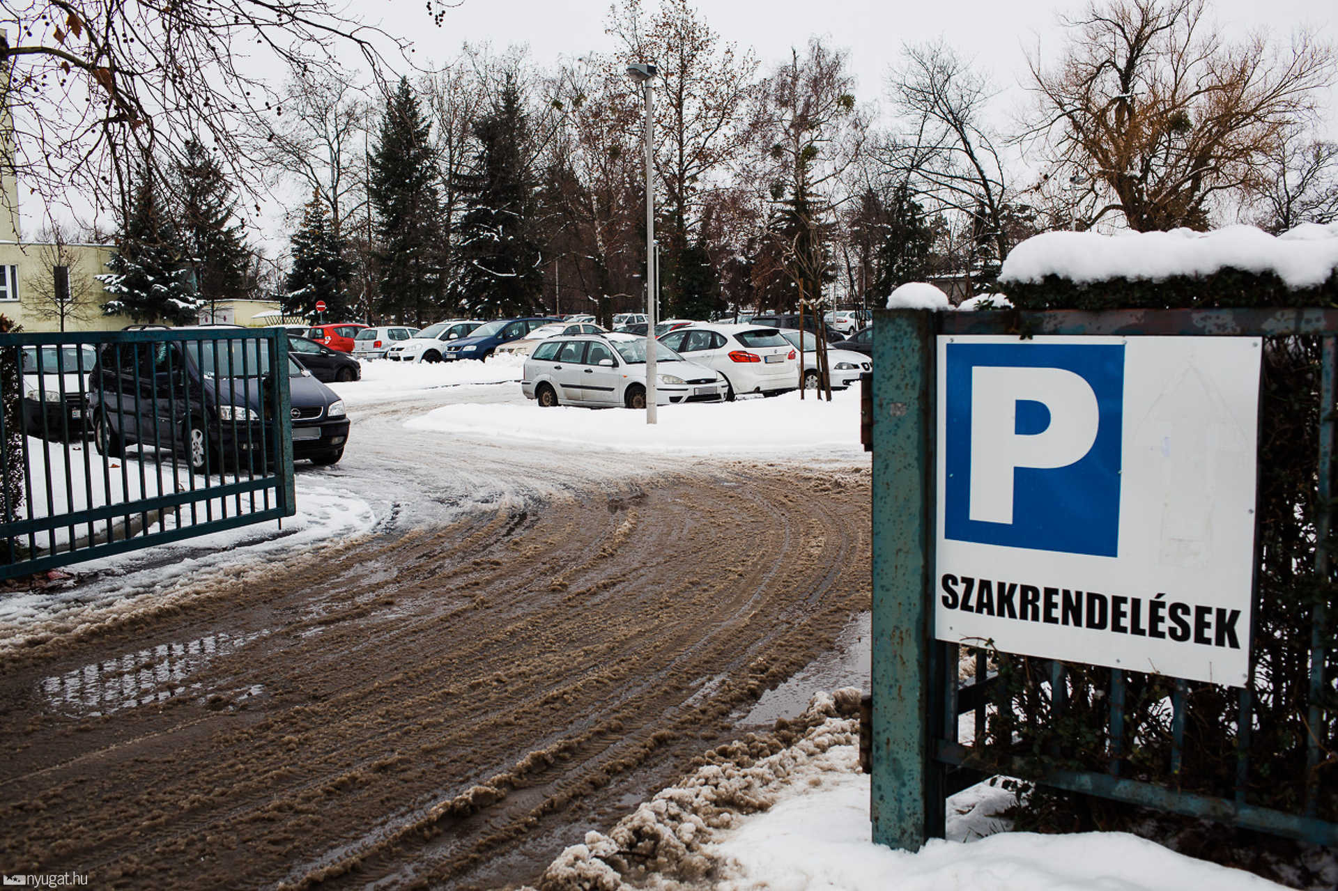 Parkoló autók a vérállátó körül