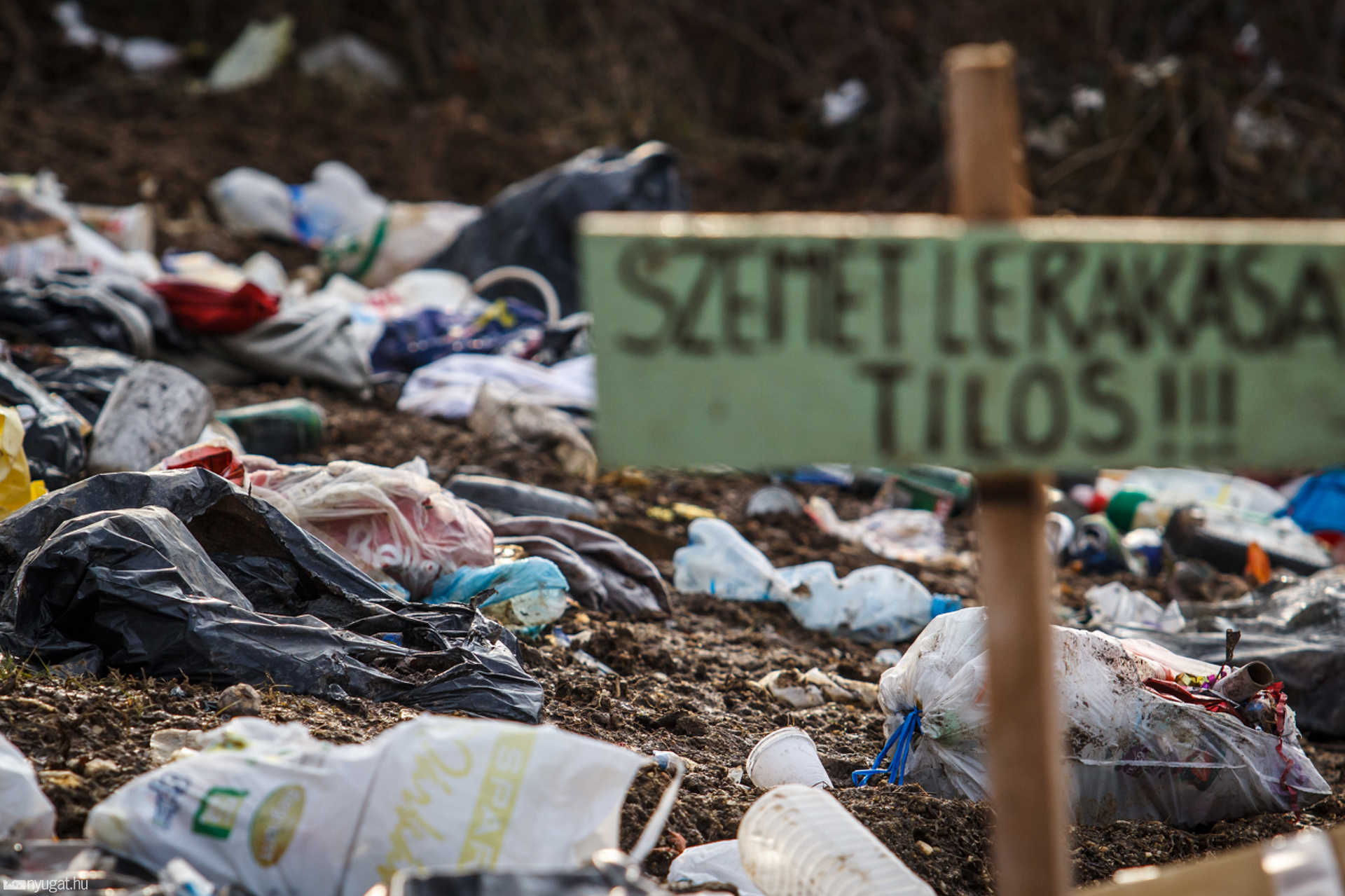 Szemét a Parkerdő felé vezető úton