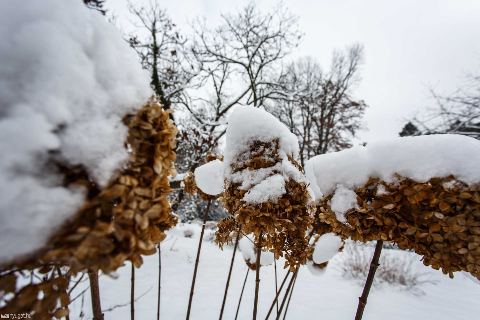 Havas Kámoni Arborétum