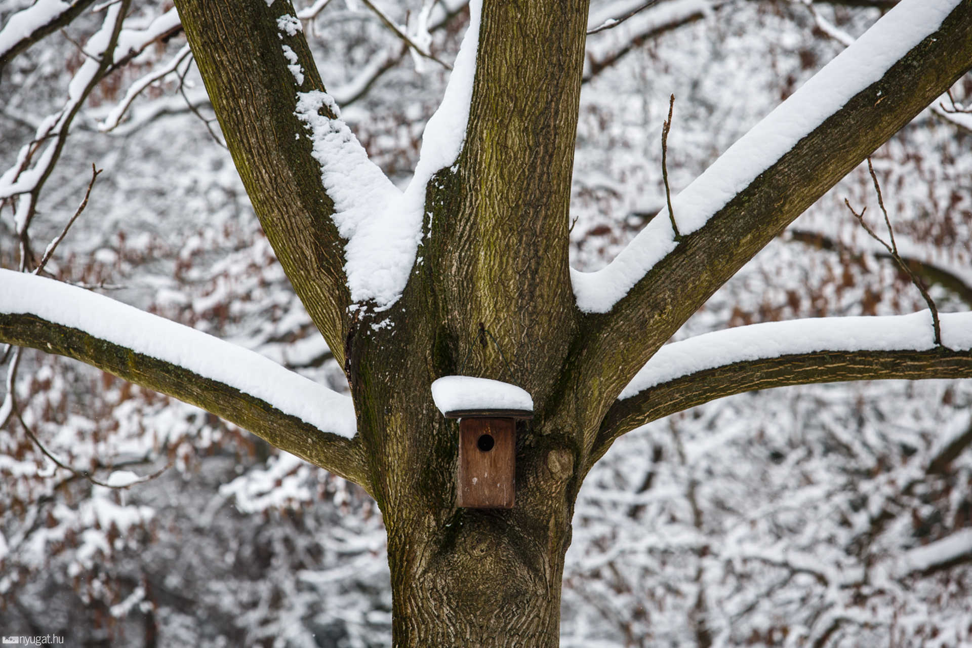 Havas Kámoni Arborétum