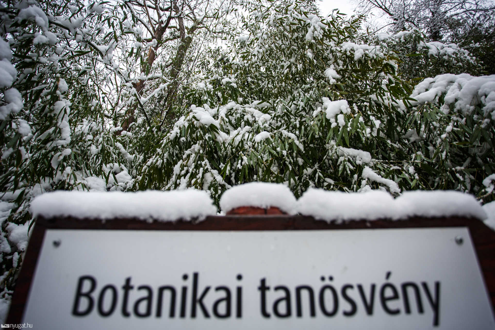 Havas Kámoni Arborétum