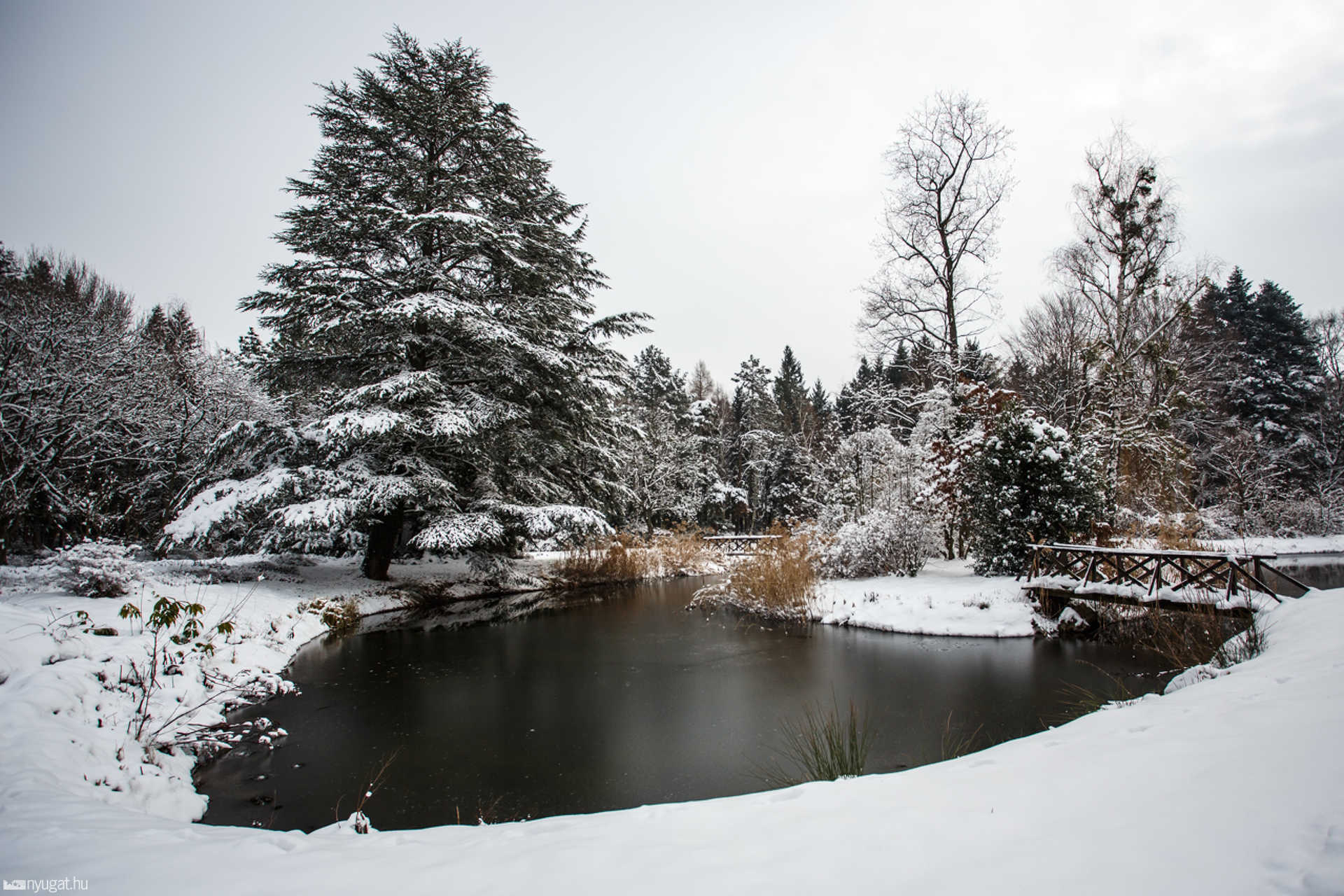 Havas Kámoni Arborétum