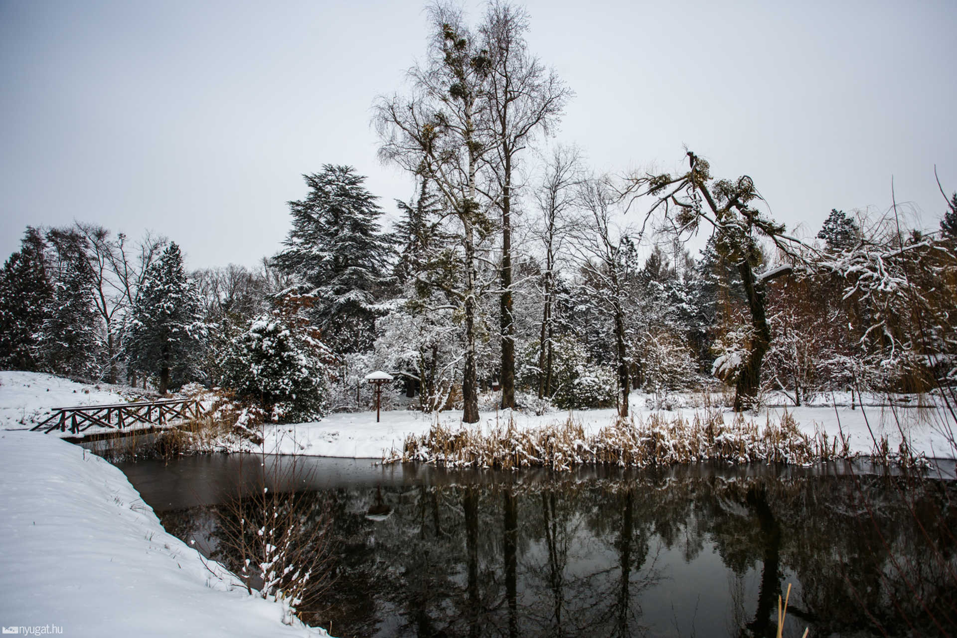 Havas Kámoni Arborétum