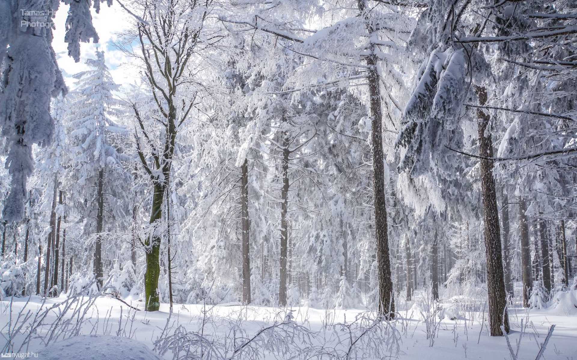 Fehér mesevilág a Kőszegi-hegységben 