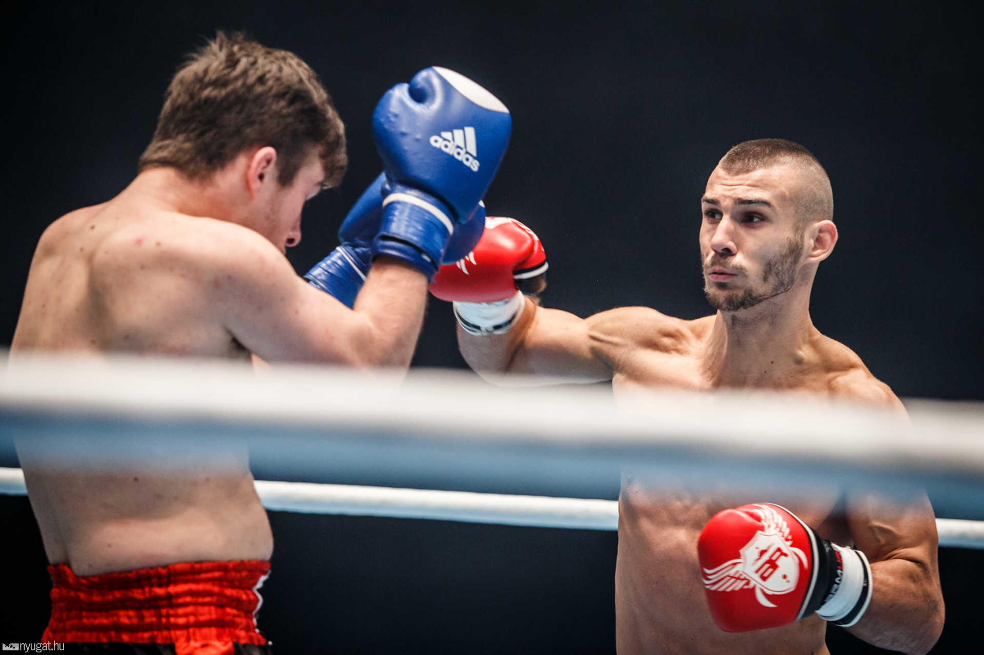 Fight Arena