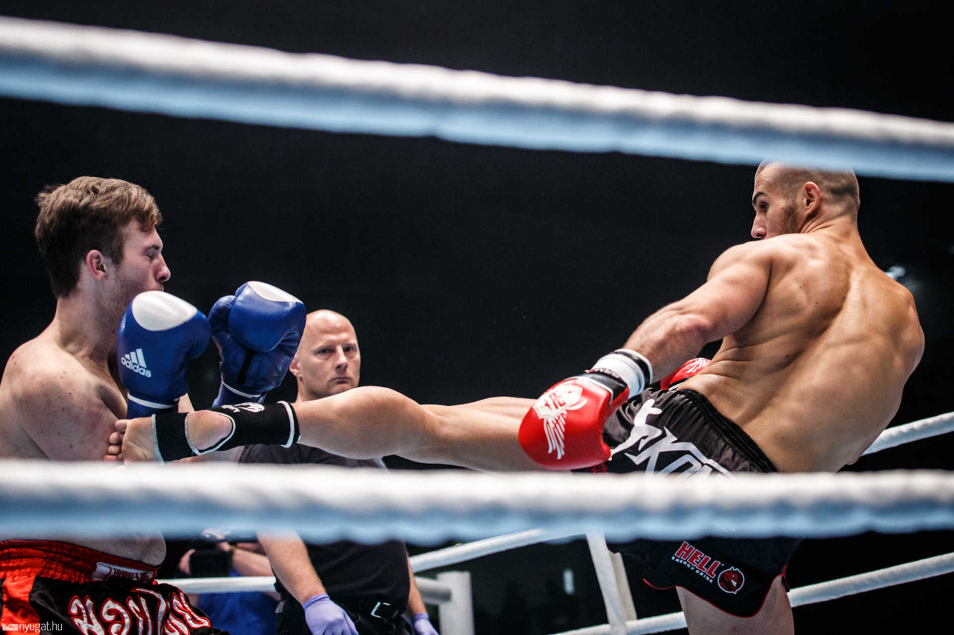 Fight Arena