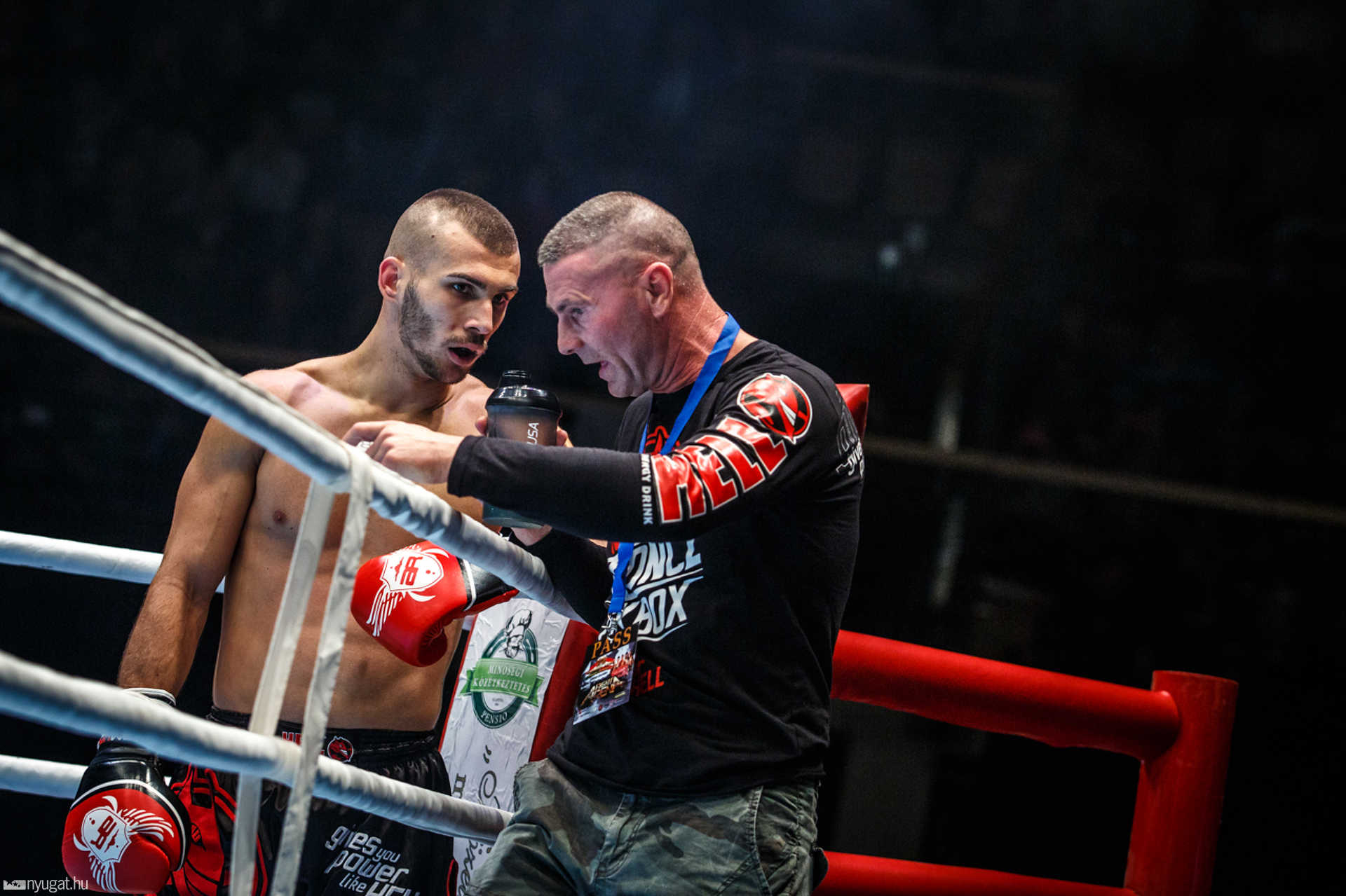 Fight Arena