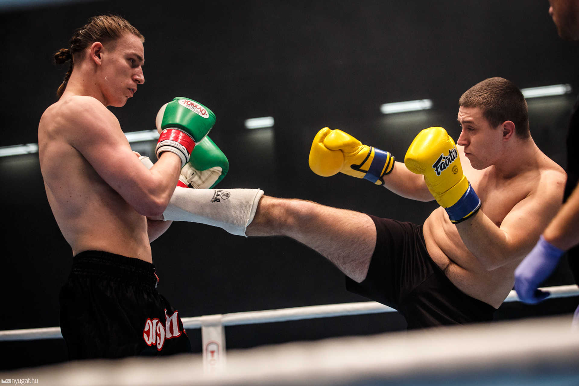 Fight Arena
