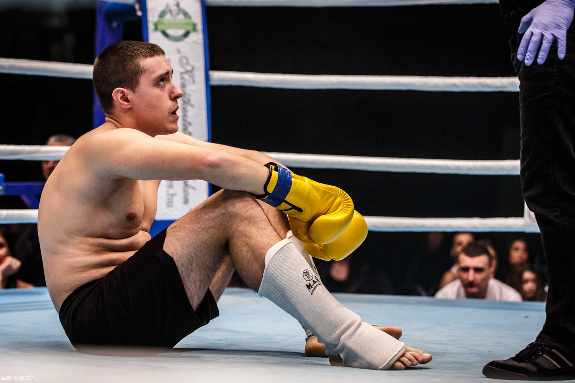 Fight Arena