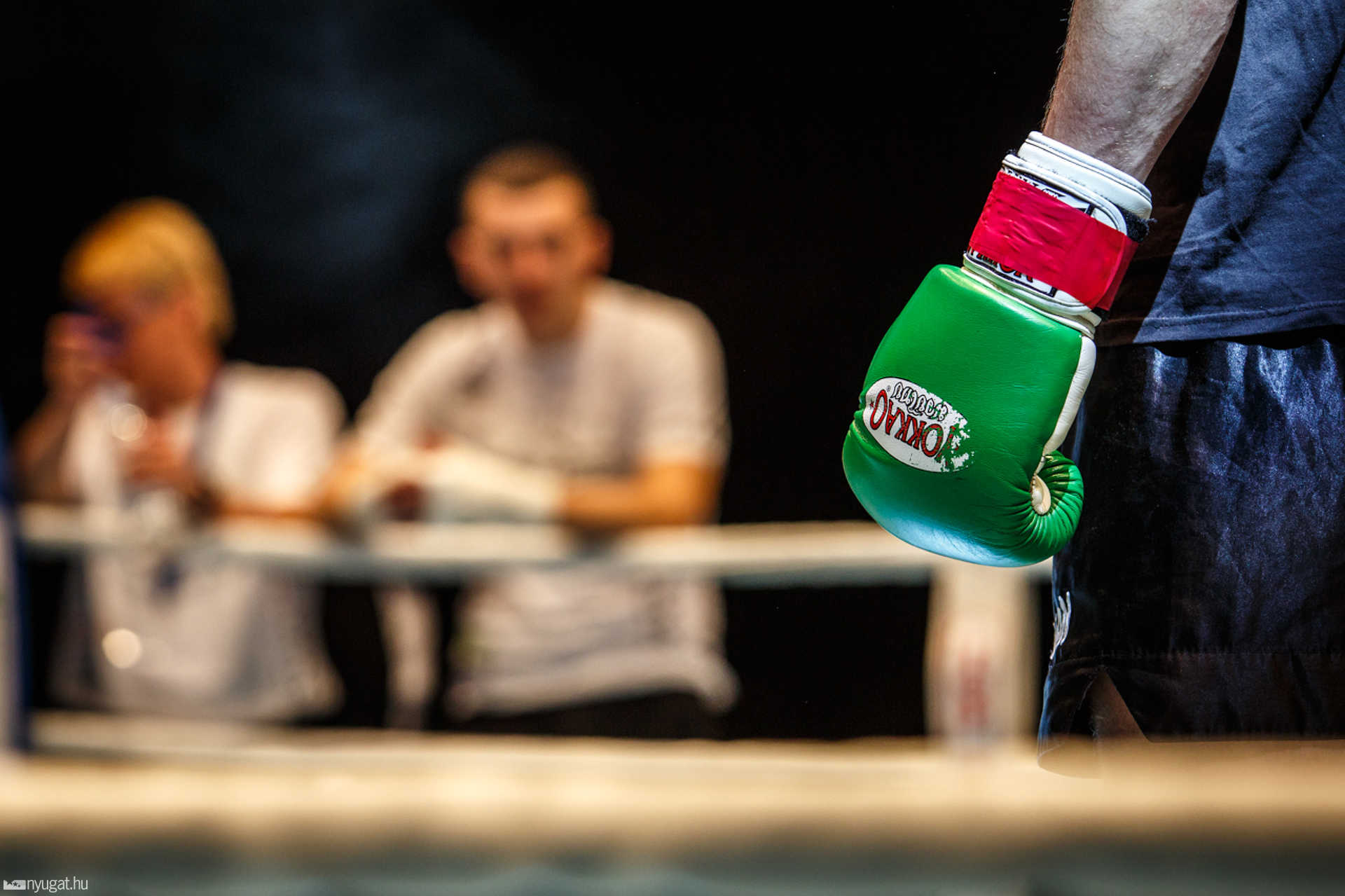 Fight Arena