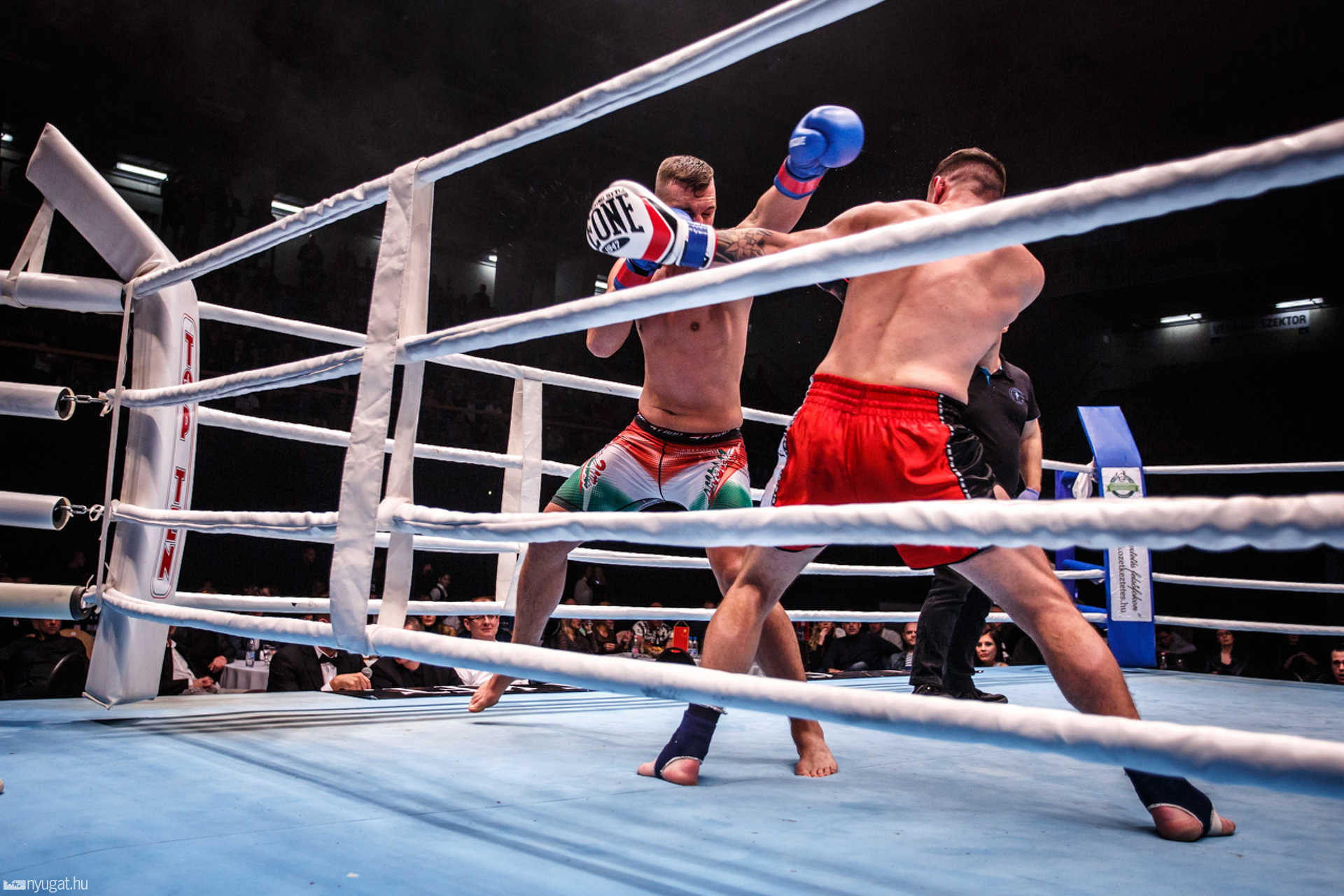 Fight Arena