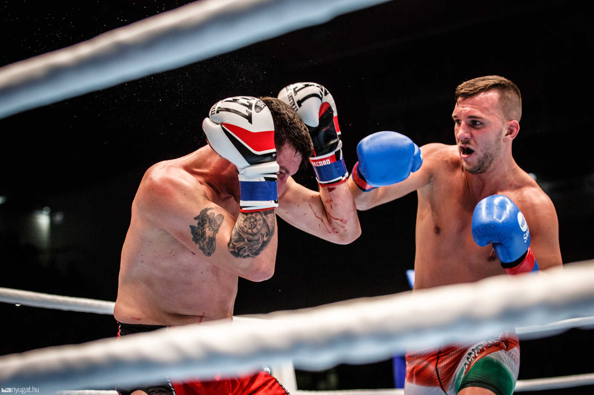 Fight Arena