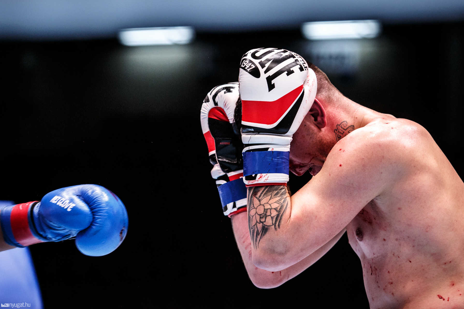 Fight Arena