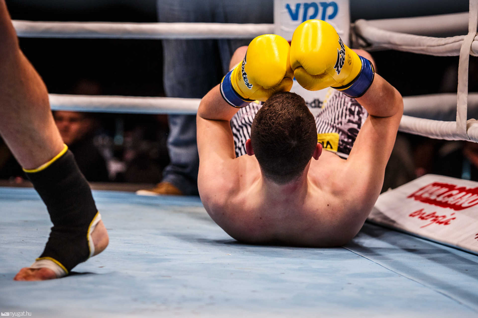 Fight Arena