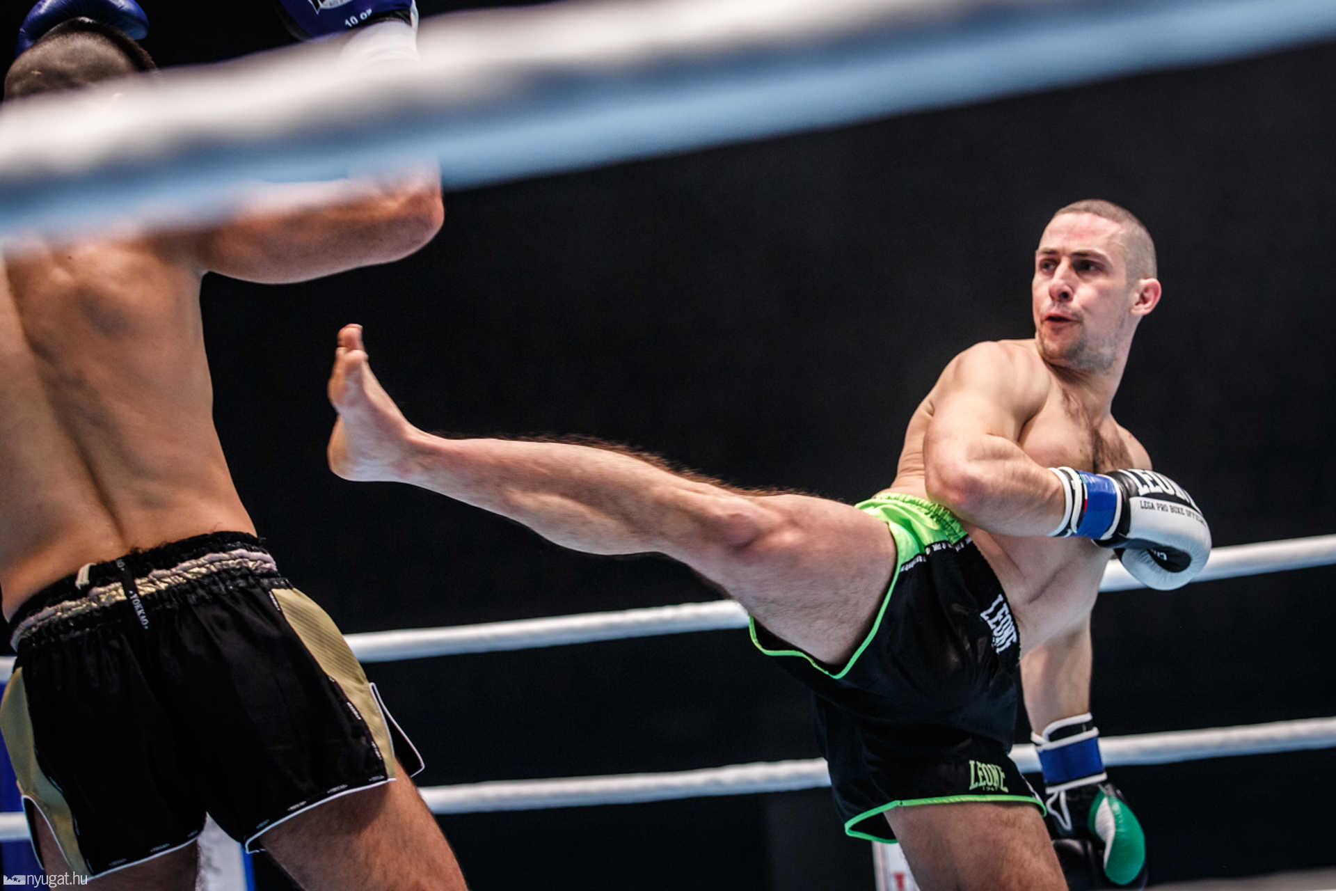 Fight Arena
