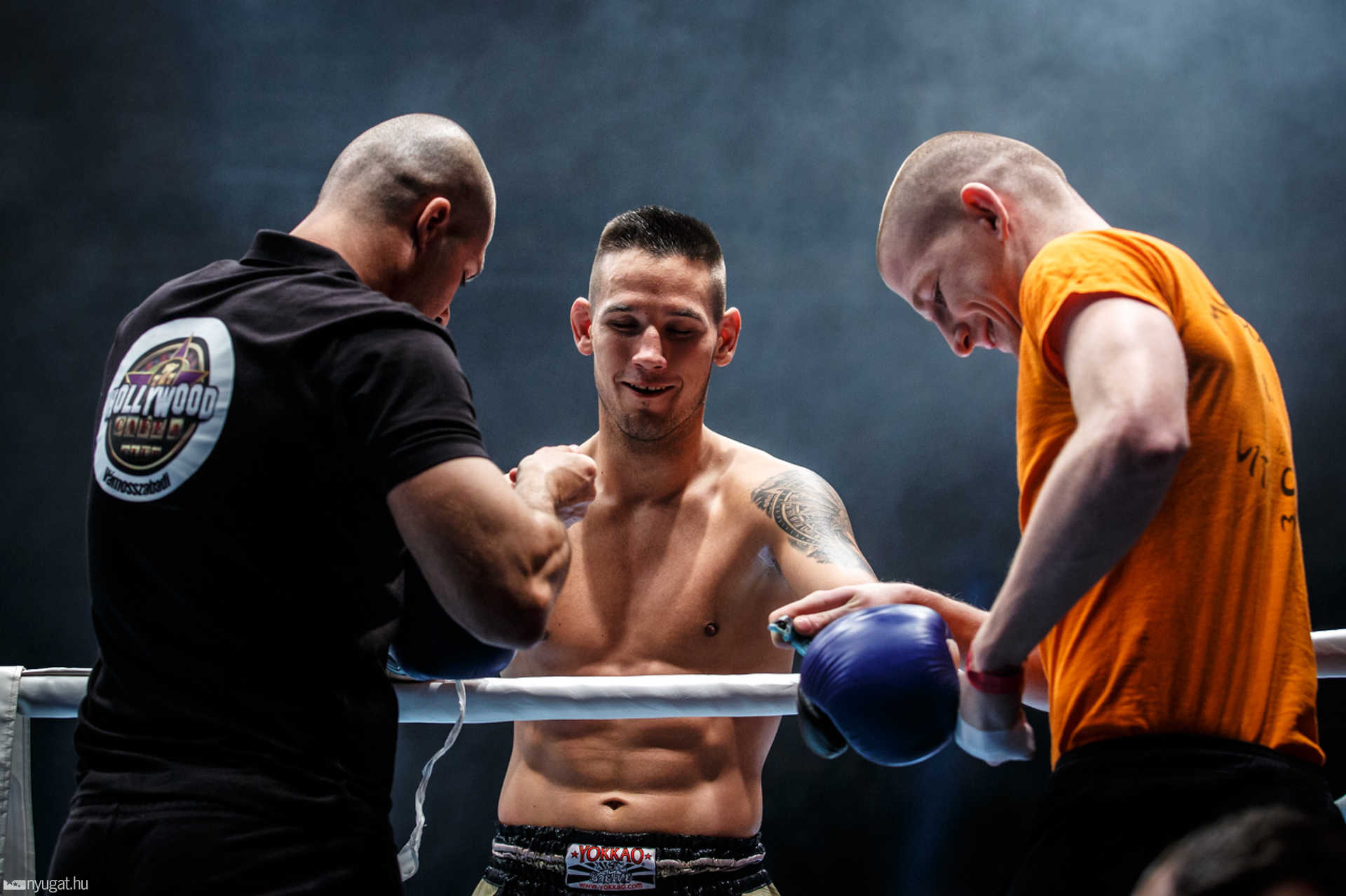 Fight Arena