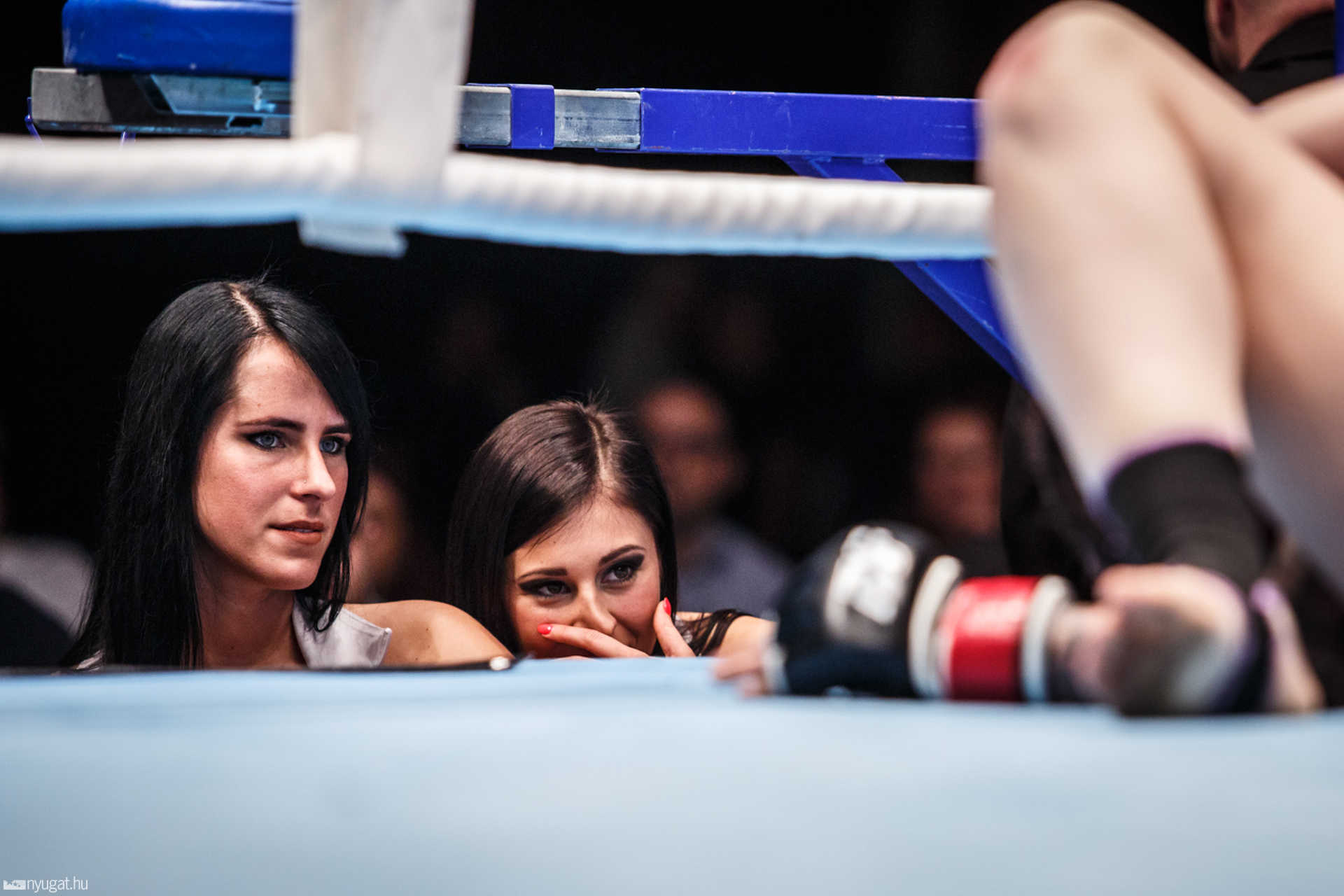 Fight Arena