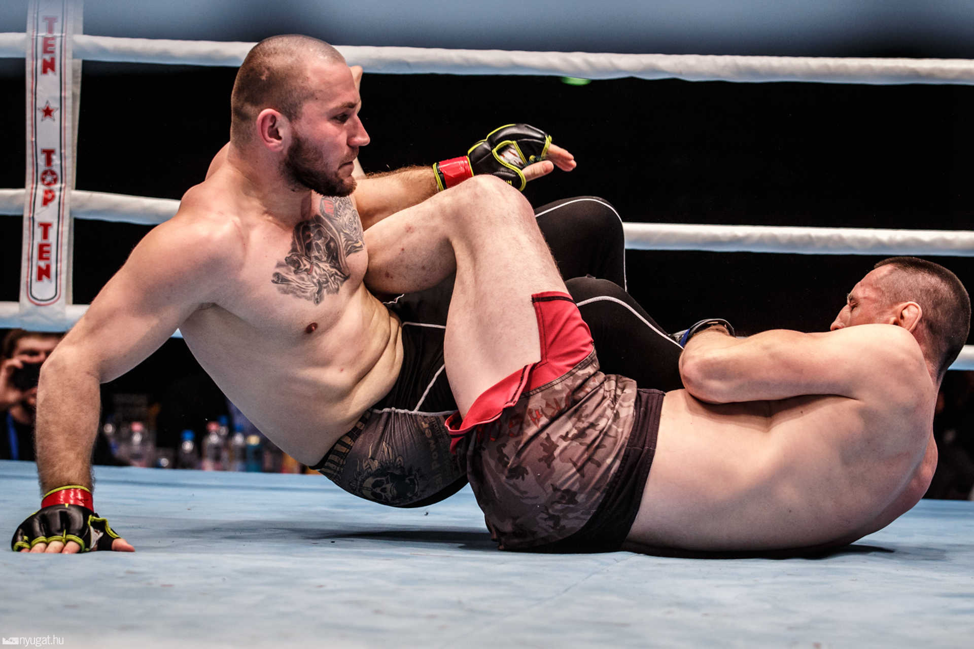 Fight Arena