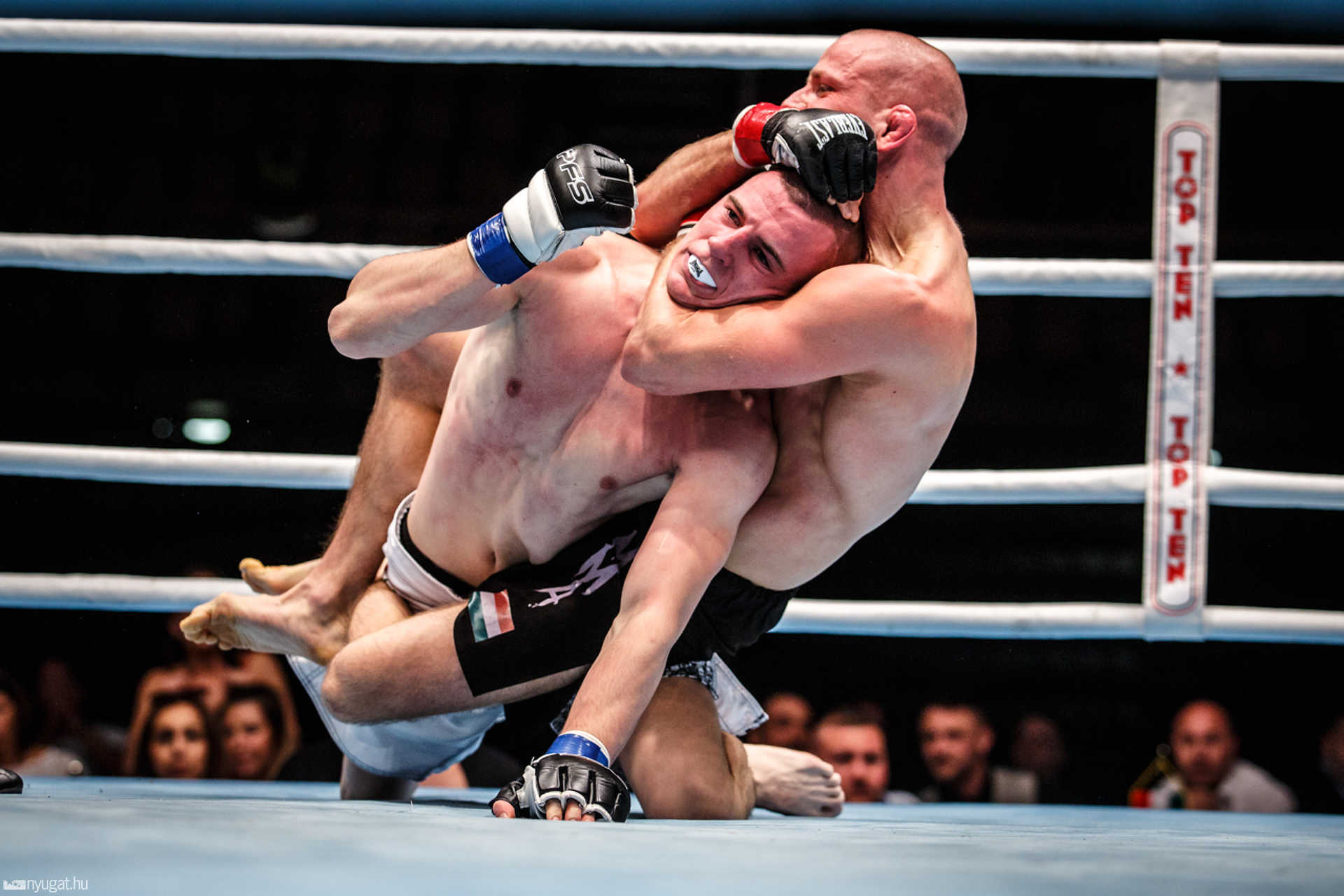Fight Arena