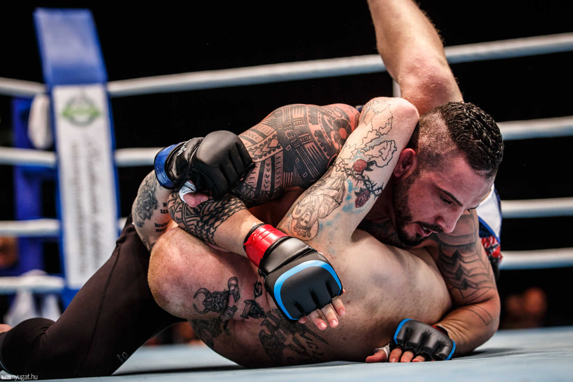 Fight Arena