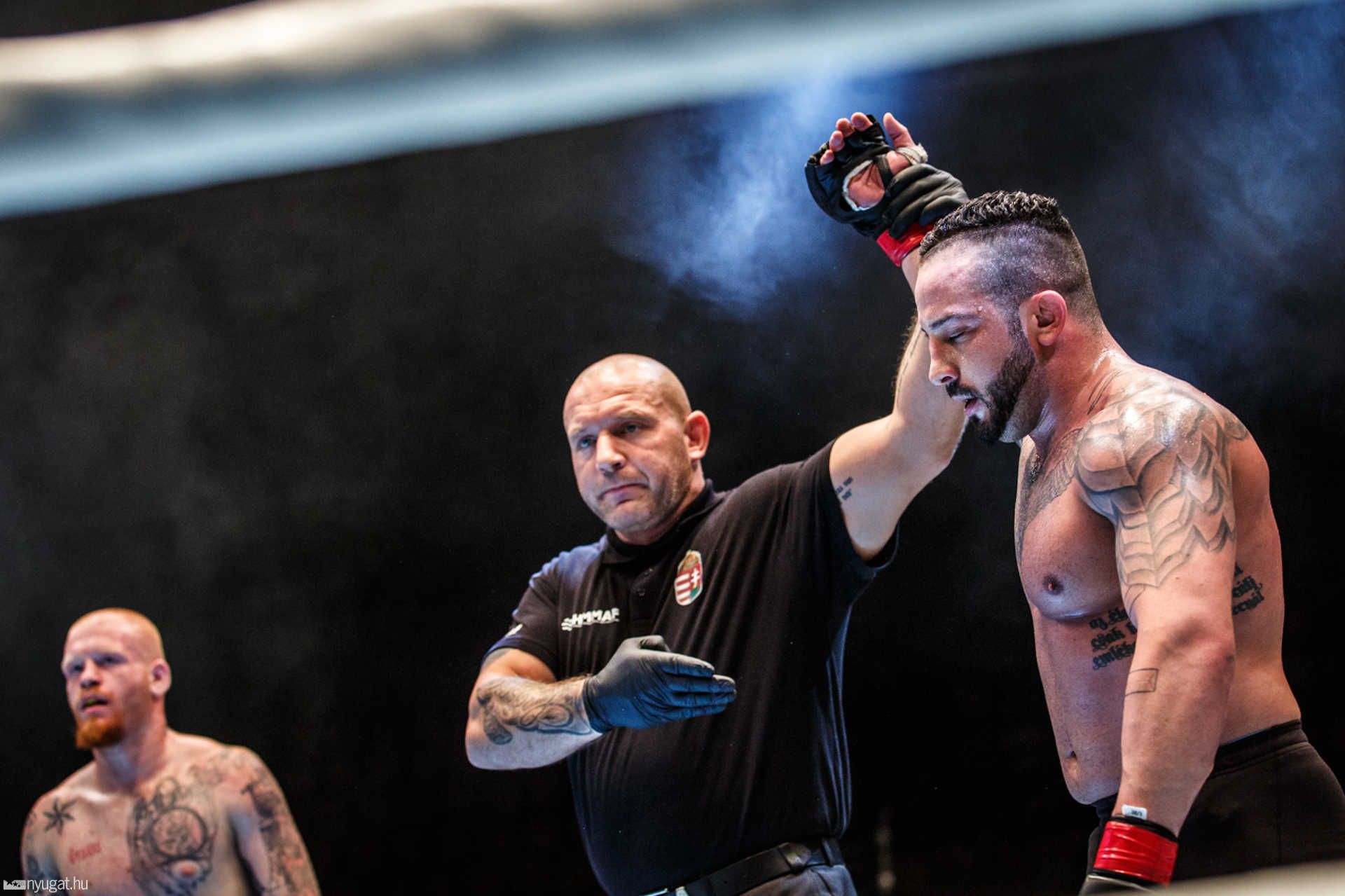 Fight Arena