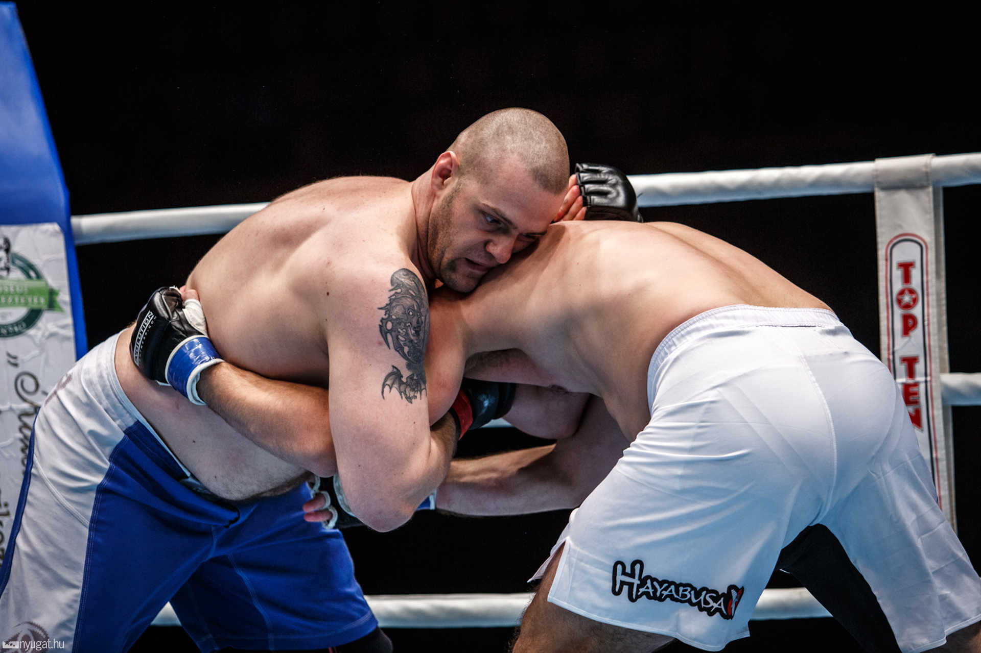 Fight Arena